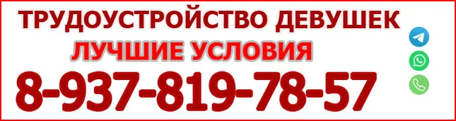 Трудоустройство